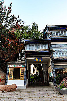 soi cau rong bach kim hom nay