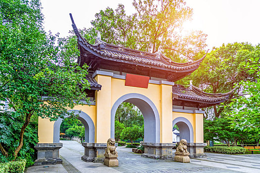soi cầu bạch thủ 247