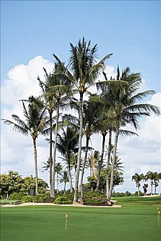 dự đoán xổ số vũng tàu hôm nay