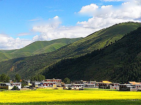 thống kê cầu lô bạch thủ
