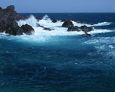 xs thu nam