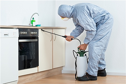 xổ số dự đoán miền nam