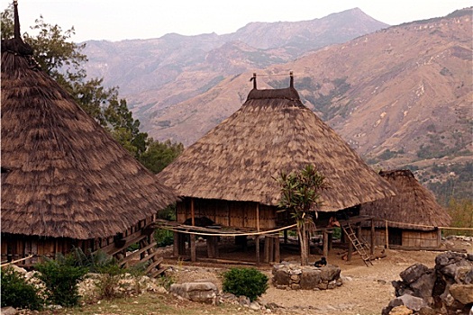 soi cau lo rong bach kim
