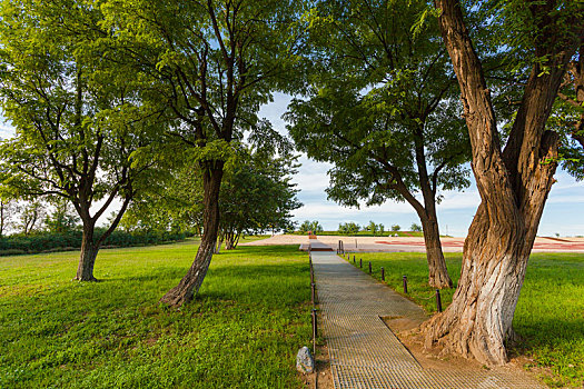 soi cầu xổ số kon tum