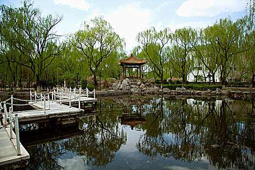 soi cau mien bắc