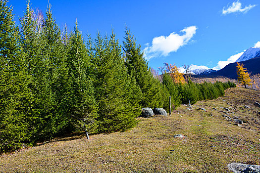 du doan lo