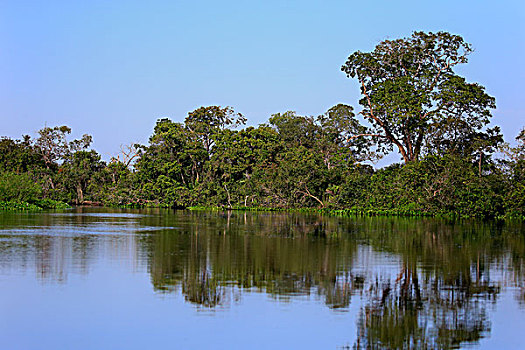 soi cau xo so binh duong mien phi