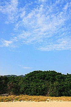cách chơi đề dàn