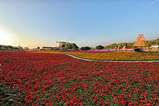 chơi đề trực tuyến