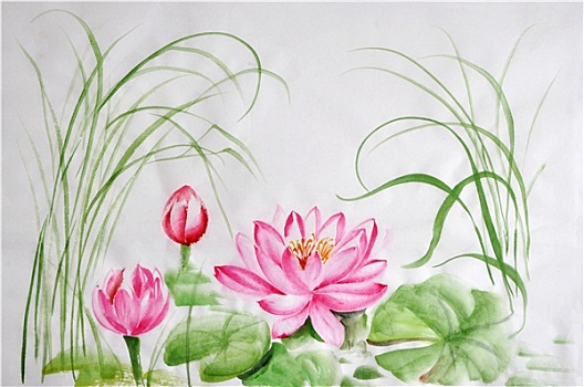 soi cầu rong bach kim