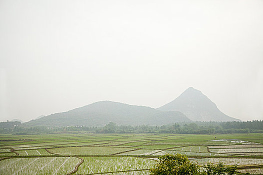 xổ số ngày hôm qua