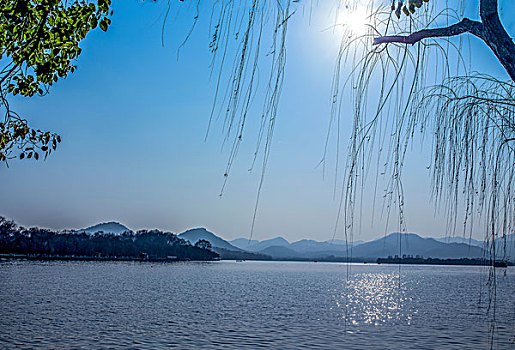 soi cau lo bach thu rong bach kim