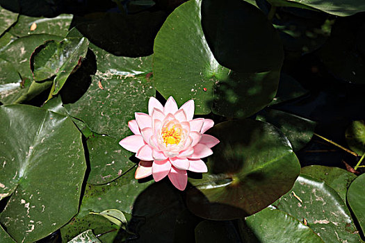 soi cầu miễn phí hôm nay