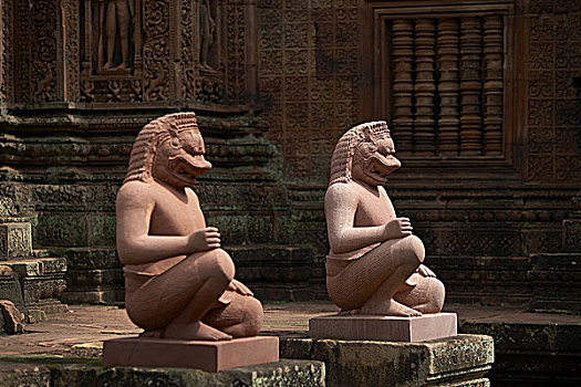 soi cau org