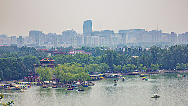soi cau m trung