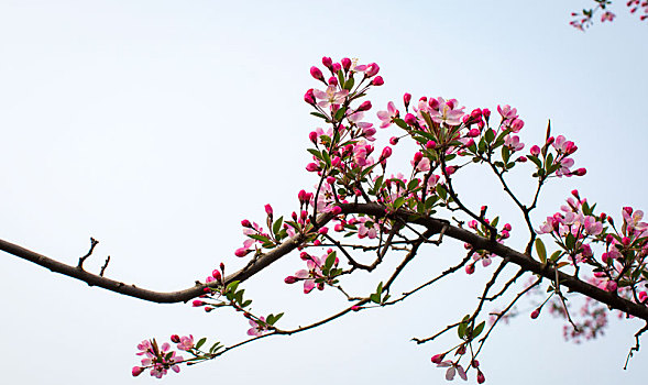 dự đoán xổ số miền nam chiều nay