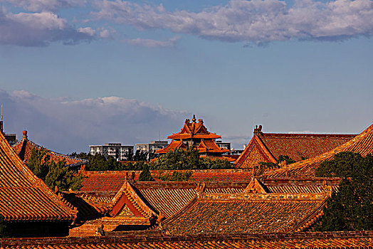 soi cau hay