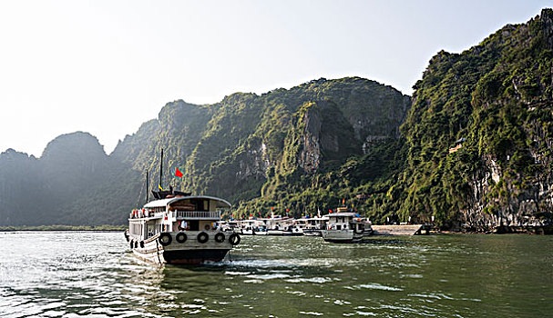 soi cau