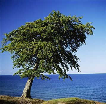 xổ số miền nam thứ tư tuần trước