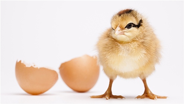soi cầu miền bắc ngày hôm nay