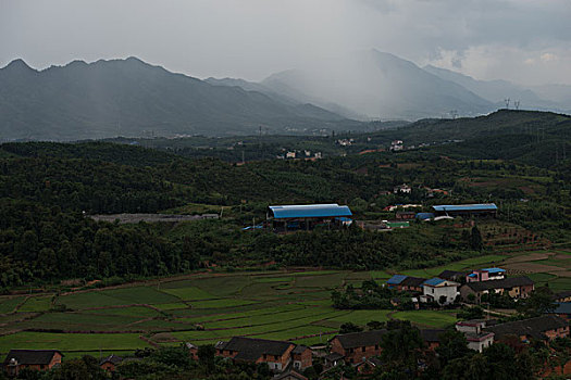 soi cau 2 nhay rong bach kim
