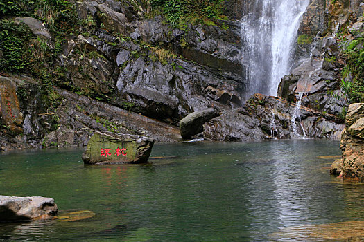 bạch thủ lô khung 3 ngày