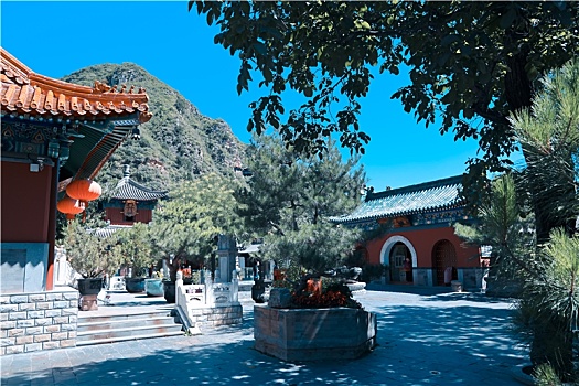 soi cau lo kép