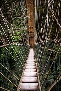 soi cầu 29