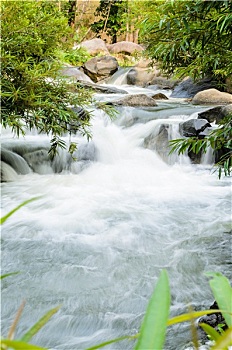 soi cau mien phi mb 888