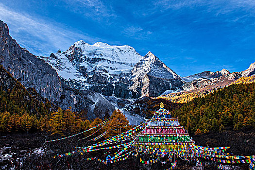 cau bach thu kep