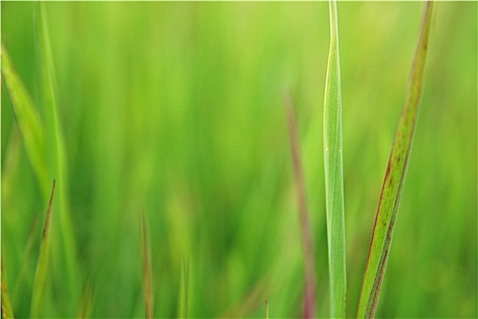 xổ số an giang hôm nay