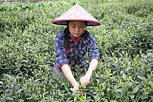 xổ số thừa thiên huế hôm nay
