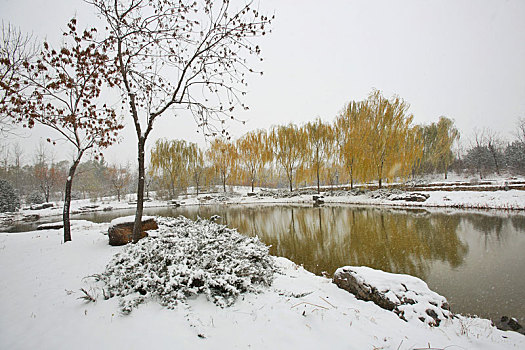 xổ số an