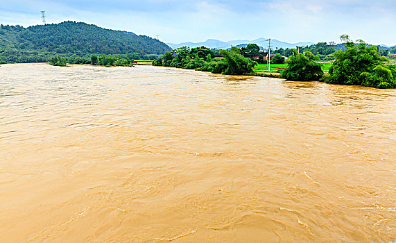 xstd rong bach kim