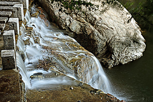 soi cau bach thu binh dinh
