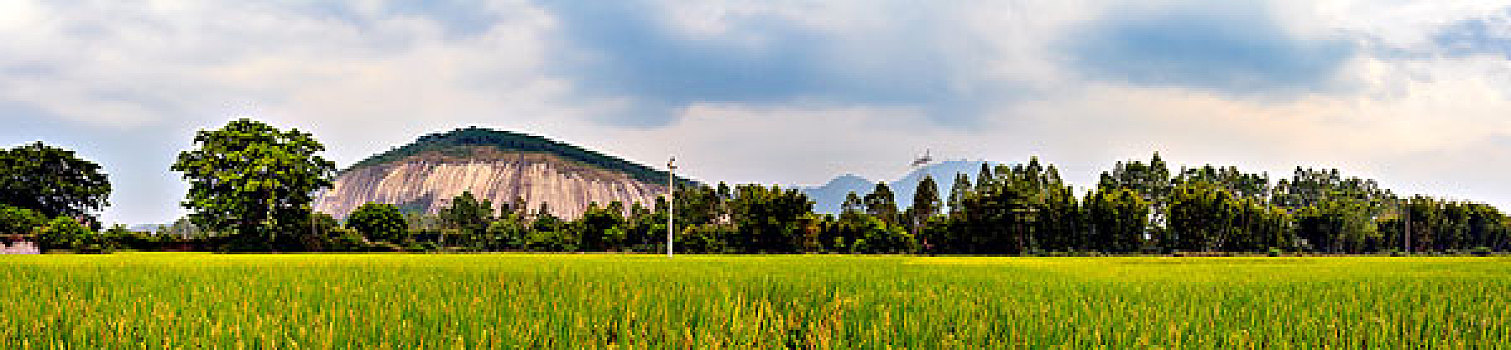 soi cau tuan vu 668