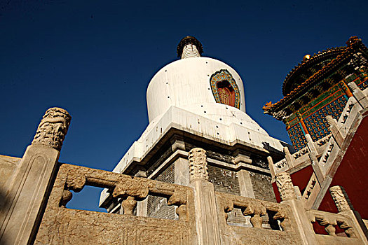 cau hom nay