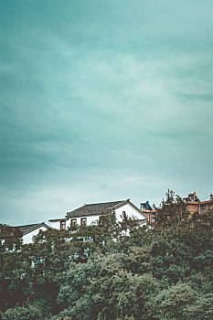 soi cau bach thu de