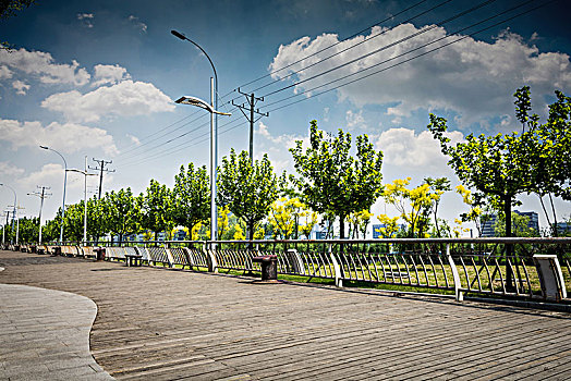 soi cau bach thu mien bac ngay hom nay