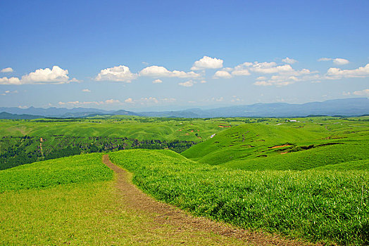 cau lo sieu chuan