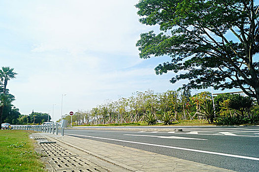 soi cau de bach thu hom nay