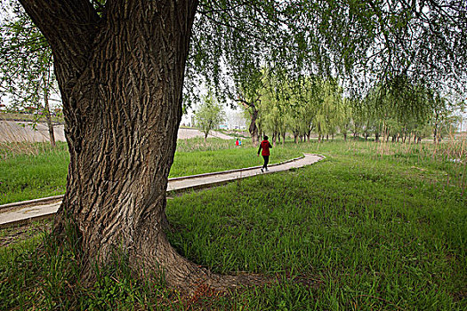 xổ số ngày nay