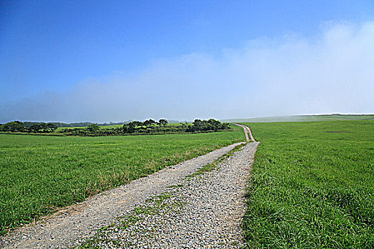 xổ sô