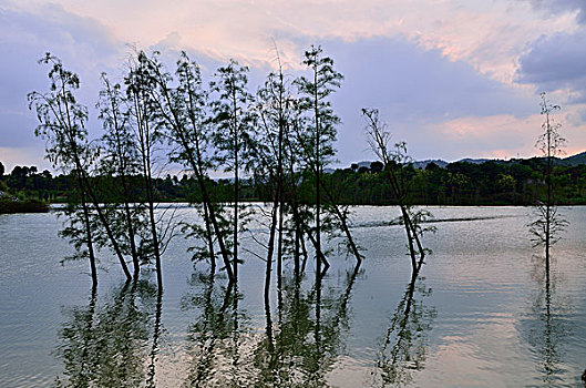 xổ số an giang ba đài