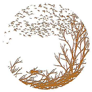 xô sô miên bắc