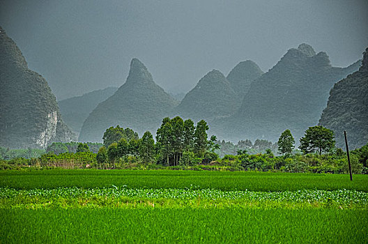 soi cau xsmb 888 mien phi