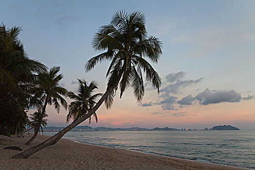 soi cau xien 2 mien phi