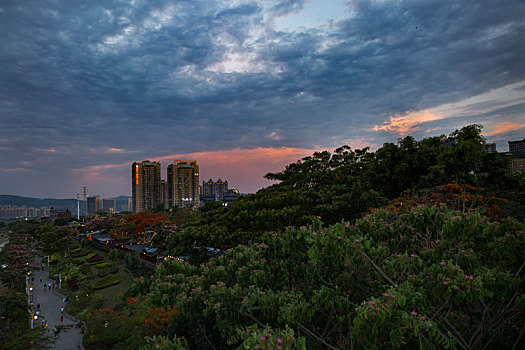 soi cau lo bach thu khung 3 ngay