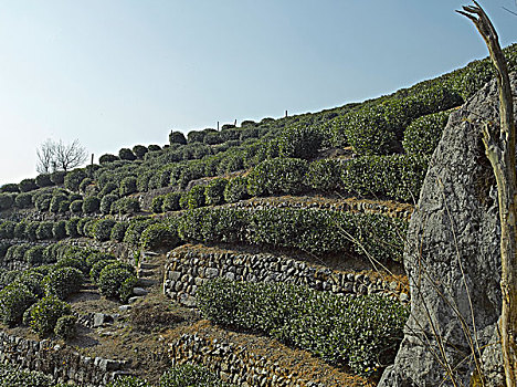 xổ số quảng nam