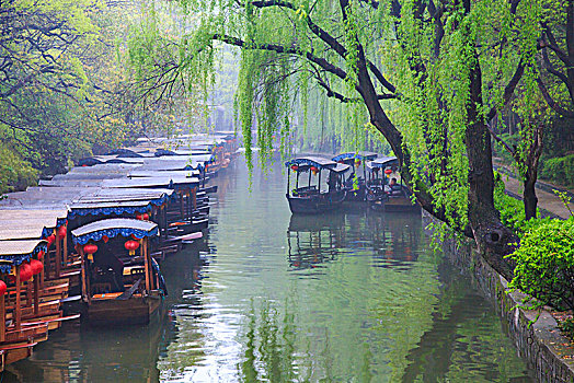 soi cau thong ke